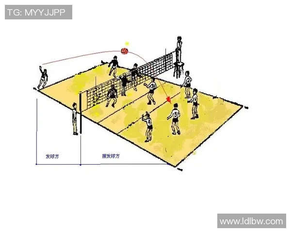 排球战术：上海排球队的防守体系