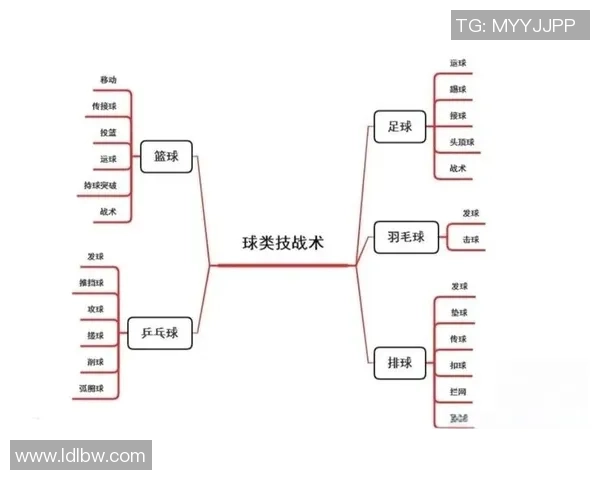 篮球战术：杭州篮球队的运营体系
